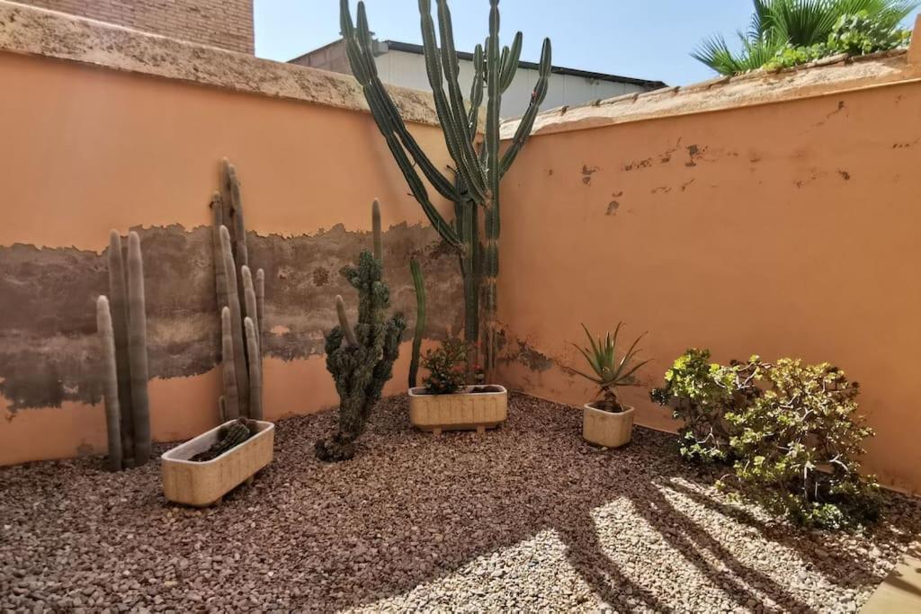 Casa Bretalunya Villa Benissanet Eksteriør billede
